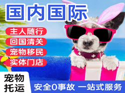 高崎机场货运国际宠物托运 【国